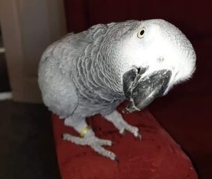 247101 617318cf00a94 d