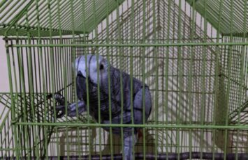 53599062 DE43 44E9 8C9A DBCFDEA9219D